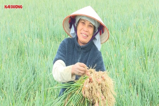 Niềm vui ở xã nông thôn mới kiểu mẫu